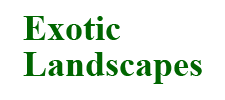 design and build exotic landscapes